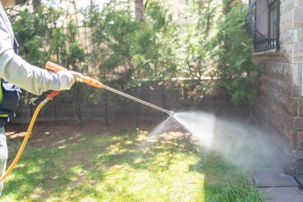 Best Pest Control Near Me in North Lynnwood, WA